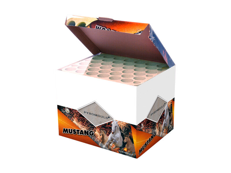 Jetzt Mustang 2er 36-Schuss-Feuerwerk-Batterie 2er Pack (Stahlkäfig) ab 84€ bestellen