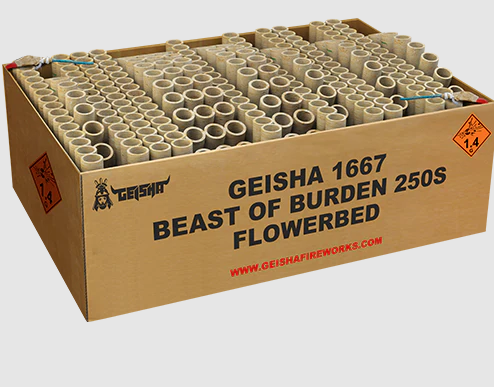 Jetzt Beast of Burden 250-Schuss-Feuerwerkverbund ab 246.49€ bestellen