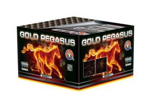 Jetzt Gold Pegasus 100-Schuss-Feuerwerk-Batterie ab 45.04€ bestellen